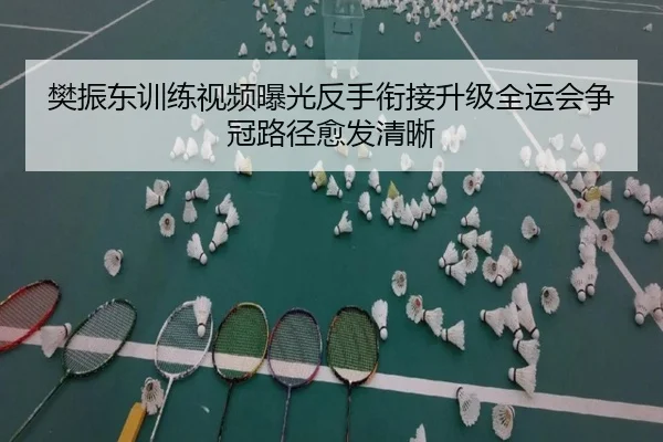 樊振东训练视频曝光反手衔接升级全运会争冠路径愈发清晰