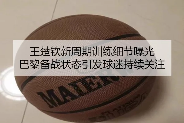 王楚钦新周期训练细节曝光 巴黎备战状态引发球迷持续关注