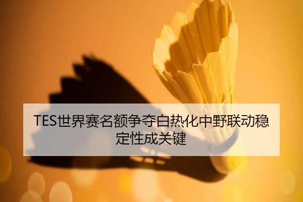 TES世界赛名额争夺白热化中野联动稳定性成关键