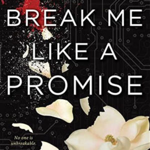 Break Me Like A Promise